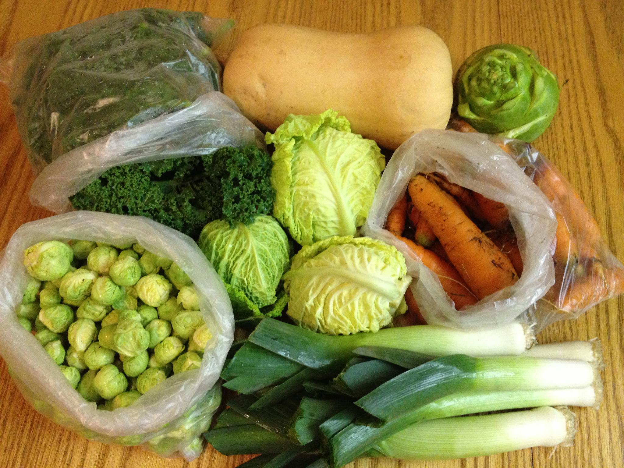 703839_377180152376258_1770478524_o