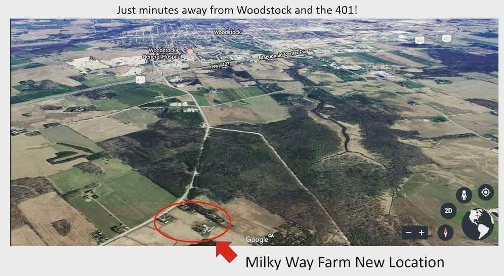 fb_img_1523889269056